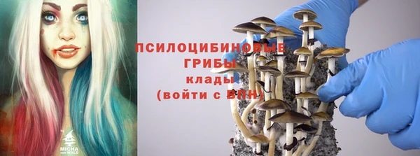 дмт Белокуриха