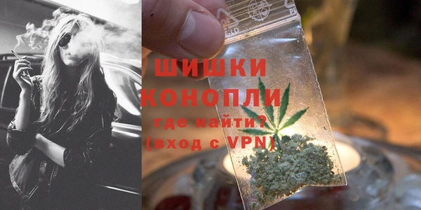 шишки Богородск