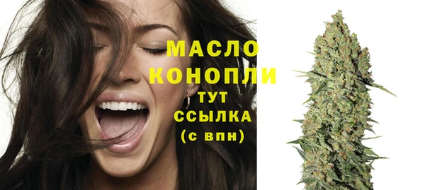 шишки Богородск