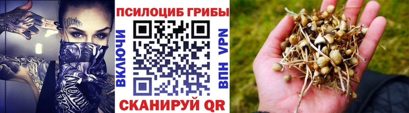 Псилоцибиновые грибы Cubensis  продажа наркотиков  Вуктыл 